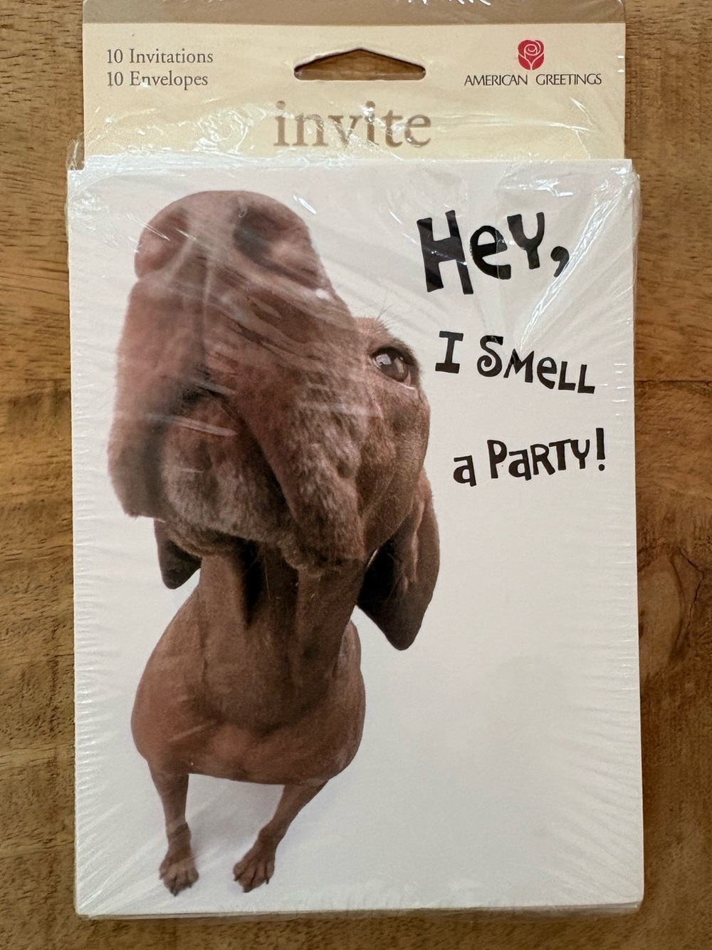 American Greetings Brown Dog Party Invitations with Black Text